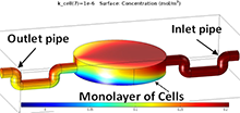 Modelling of the Oxygen ...