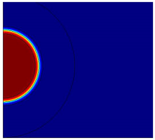 Near-Wall Dynamics of ...