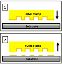 Deformation of Stamp ...