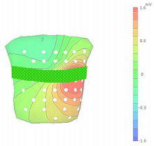 Smart Chest Belt for ...