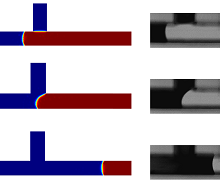 Capillary Flows: Dynamic ...