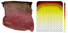 Using COMSOL Multiphysics ...