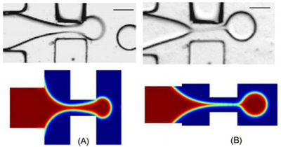 Control the Poly-Dispersed ...