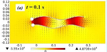 Numerical Simulation of ...