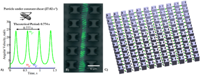 Mechanistic Modeling of Non ...