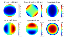 Solution of Poroelastic ...