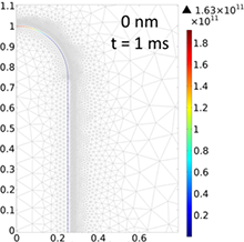 A Numerical Model of ...