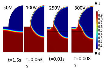 Electric Field Assisted ...