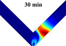 Multiphysics Simulation of ...