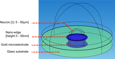 Simulations of ...