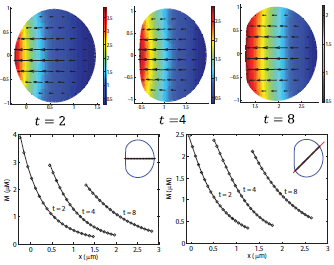 Using COMSOL Multiphysics® ...