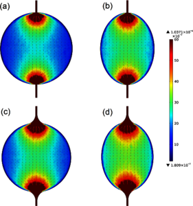 Simulation of an ...