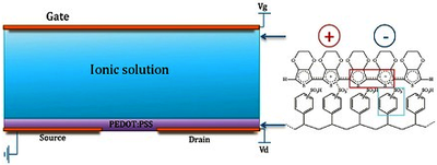 Model of Biosensor based on ...