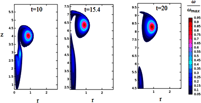 Direct Numerical Simulation ...