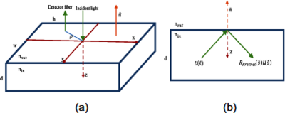 Simulation of Diffuse ...