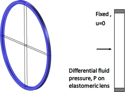 Simulating an Adaptive, ...