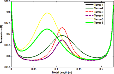 Numerical Simulation and ...