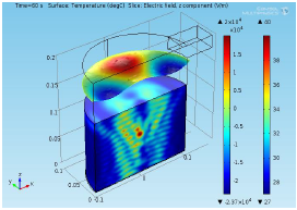 Simulation of a Microwave ...