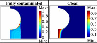 Study of the CO2 Transfer ...