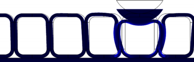 Modeling of Epithelial ...