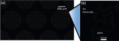 Design of a Nucleic Acid ...