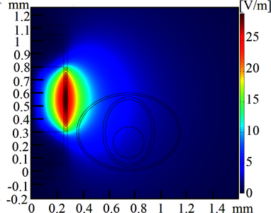 Evaluation of the Induced ...