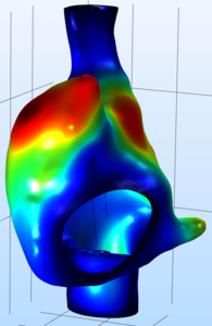 A Multiphysics Model of O2 ...