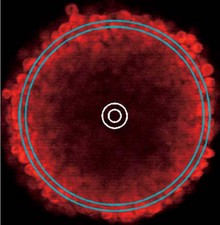 Parameter Optimization for ...