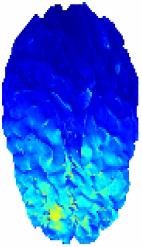 Image Based-Mesh Generation ...