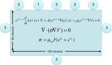 Computational Simulation of ...