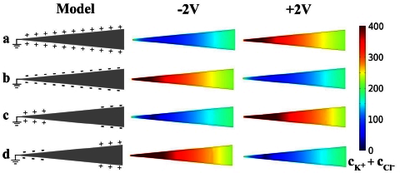 基于光响应主客体相互作用及 pH 调控的“即插即用 ...