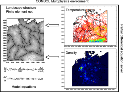 Spatial Dynamics of ...