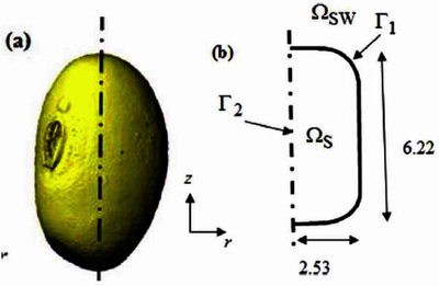 Modeling Alpha-Galactosides ...