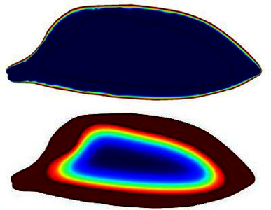 3D Temperature Dependent ...