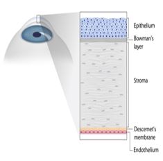 Simulation of Measurment of ...