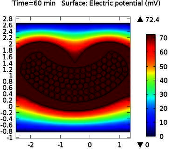 2D Simulation of Crimping ...