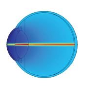 3D Optical Human Eye Model ...