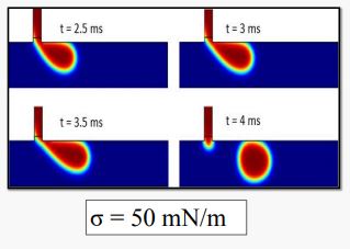Effect of Interfacial ...