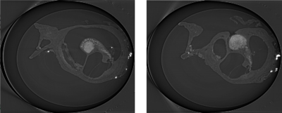 A 3D Simulation of the ...