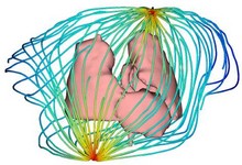Image-based Simulation of ...