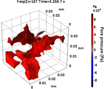 Numerical Simulation of ...