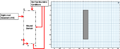 Computational Modeling of ...