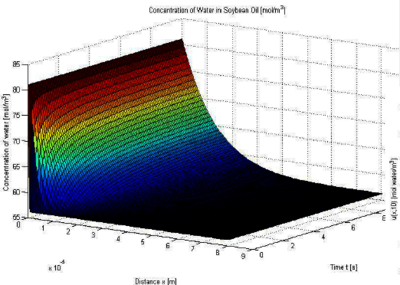 Dissolution Modeling of ...