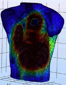 Model of the Cardiac ...
