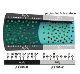 Elucidating the Mechanisms ...