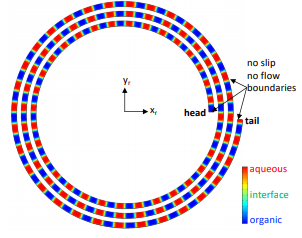 Modeling Two Phase Fluid ...