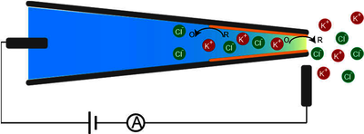 A Multi-physics Study of ...