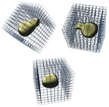 Gauss's Law; Teaching ...
