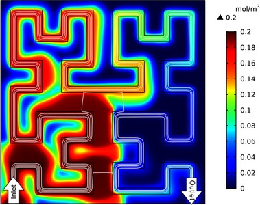 Modeling of Mass Transport ...