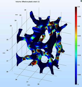 Plastic Deformation of ...